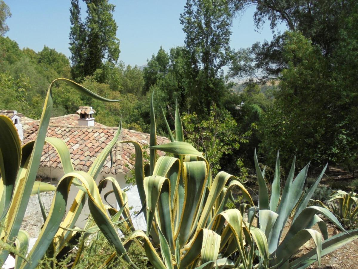 Villa El Pastor Grazalema Exterior foto